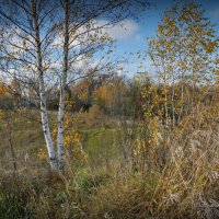 "Всё прозрачнее осень. Середина октября"© :: Владимир Макаров