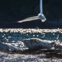 ... :: Жора Житников ... :: Жора Житников