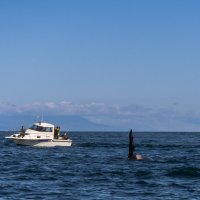 ... :: Жора Житников