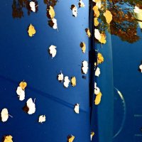 Осень 2 :: Алексей Кузнецов