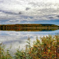 Октябрь на Смоленщине (репортаж из поездок по области). :: Милешкин Владимир Алексеевич Октябрь на Смоленщине (репортаж из поездок по области). :: Милешкин Владимир Алексеевич
