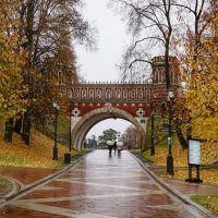 Фигурный мост в Царицыно :: Ольга 