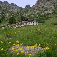 Национальный парк Горхи-Тэрэлж. Буддийский храм Арьяабал :: Galina 