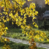 Дождик  и  солнце :: Фотогруппа Весна