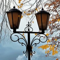 Это осень: листва облетает, раньше зажигают фонари. :: Татьяна Помогалова