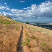 Тропинка :: **** vedin