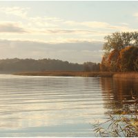 *** :: Aleksandr Gal