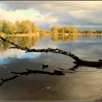 *** :: Aleksandr Gal *** :: Aleksandr Gal