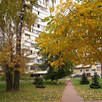 Осенний город :: Елена Семигина Осенний город :: Елена Семигина