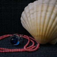 Мечты о морях и кораллах..... :: Алёна Савина