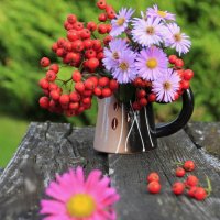 Осенний Букетик .. :: Татьян@ Ивановна