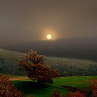 закат :: николай 