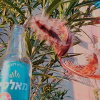 13  ОПЕН (529) :: OPEN WAYS ALL