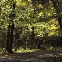 В парке... :: Freddy 97