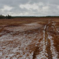 След :: Сергей Никифоров