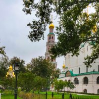 Новодевичий монастырь :: Irene Irene