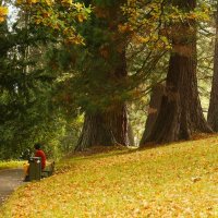 И тишина :: Юрий. Шмаков