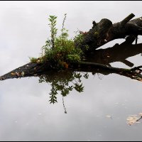 < :: Сергей Премонишын