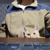 Смотрим новости :: Pavel Bamboleo