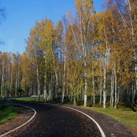 НА повороте. :: Наталья Лунева 