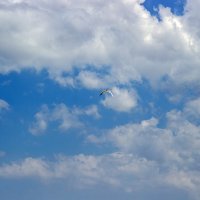 Небо - бескрайняя красота :: Светлана Ищенко