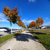 Осень в Бёблингене :: Сергей Порфирьев Осень в Бёблингене :: Сергей Порфирьев