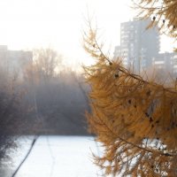 *** :: Сергей Сергеев