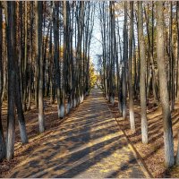 Солнечный октябрь. :: Aquarius - Сергей