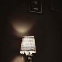 Котик :: Сергей Царёв