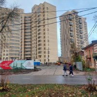 трущебы или человейники, что лучше...? :: Артём 