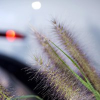 *** :: Павленко Михаил 