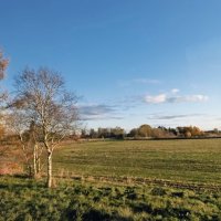 Мимоходом... :: Veera V Мимоходом... :: Veera V