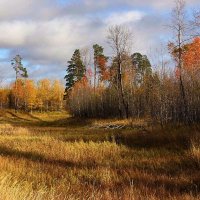 Осенняя акварель! :: Владимир Осенняя акварель! :: Владимир
