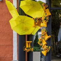 Осенний мотив :: Игорь Сикорский