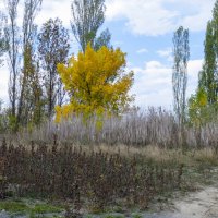 Природа Крыма :: Валентин Семчишин