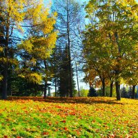 ЗОЛОТИСТЫЙ ЛИСТОПАД В ПАРКЕ :: Валентина 