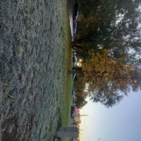 Осень :: Сапсан 