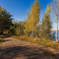 Осенняя природа у реки :: Александр Синдерёв