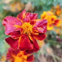 ,,, :: Сергей Тимоновский ,,, :: Сергей Тимоновский