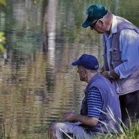 Верные друзья :: Alexandеr P