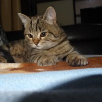 МУРЗИК :: СЕРГЕЙ ФИЛОЧКИН