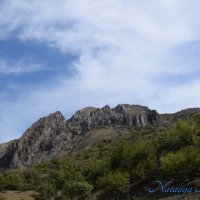 Природа Крыма :: Amazing Cosmea