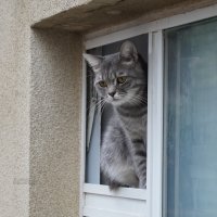 Сторож :: Сергей Беляев