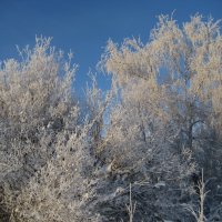 Зима :: Anna Ivanova