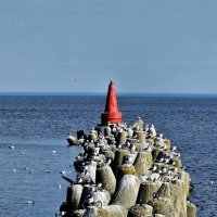 Озеро Белое. :: Михаил Свиденцов