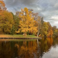 Елагин остров :: skijumper Иванов Елагин остров :: skijumper Иванов