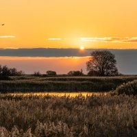Осенний закат :: Ирина 