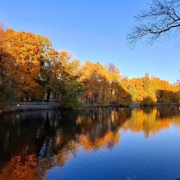 Осень, ты прекрасна! :: Хватова Марина 