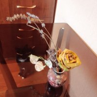 Экибана :: Анжелика Пухова