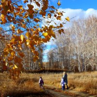 Прогулка :: Владимир Помазан
